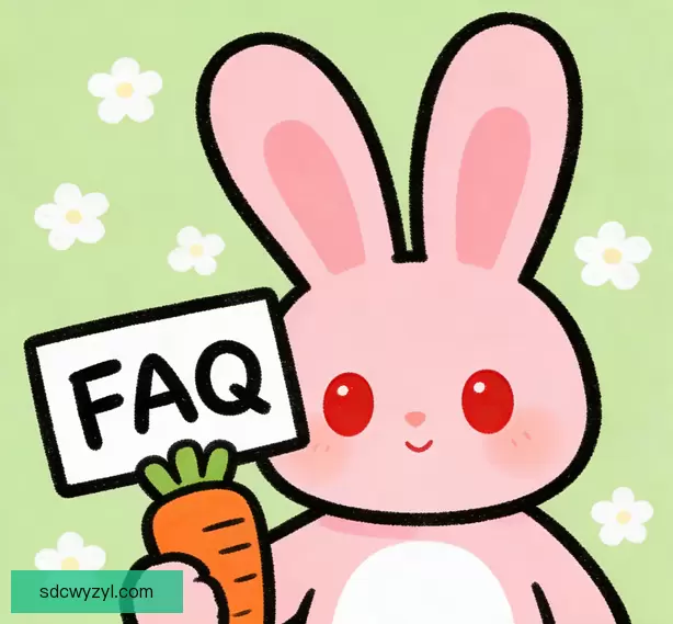 常见问题